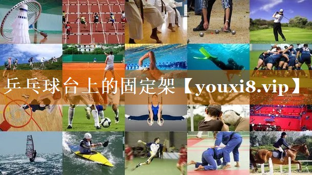 乒乓球台上的固定架