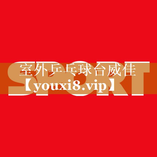 室外乒乓球台威佳