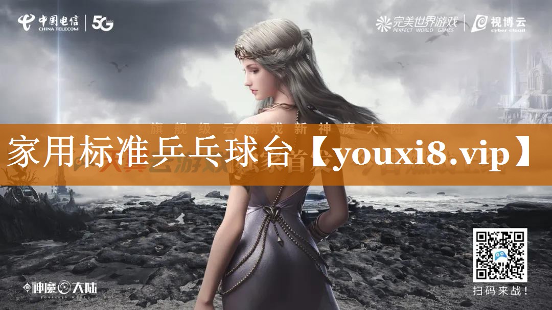 家用标准乒乓球台