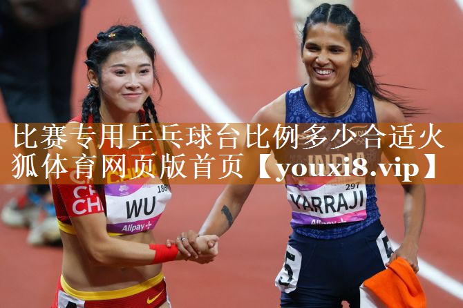 比赛专用乒乓球台比例多少合适火狐体育网页版首页