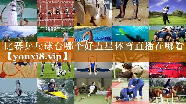 比赛乒乓球台哪个好五星体育直播在哪看