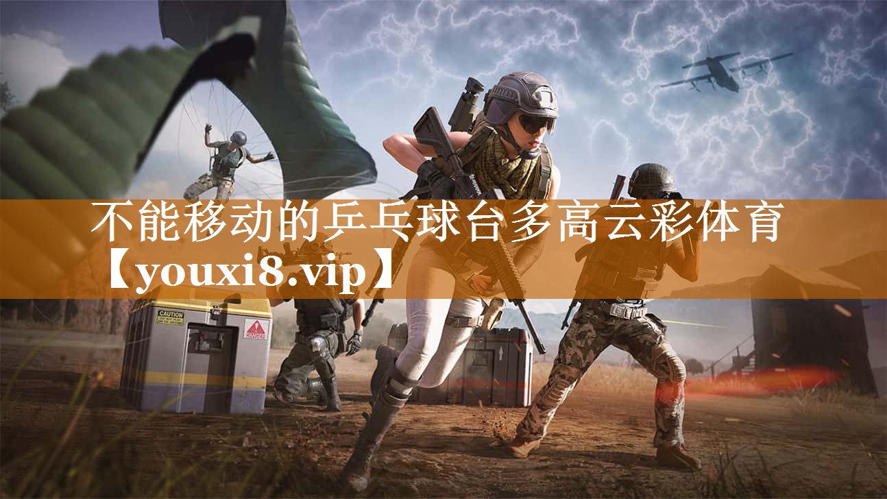 不能移动的乒乓球台多高云彩体育