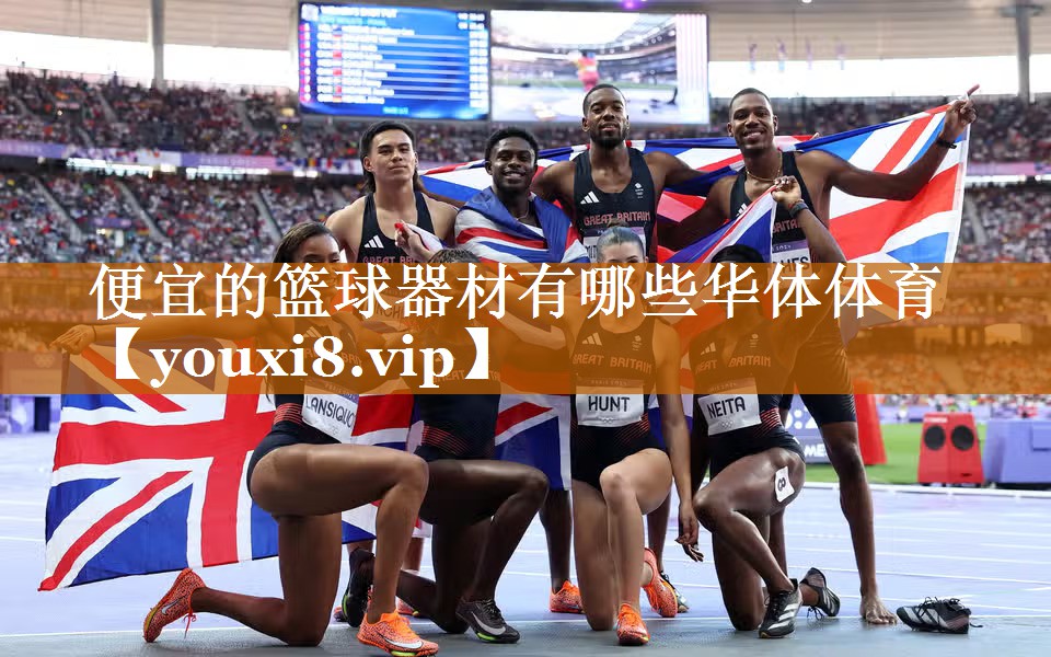 便宜的篮球器材有哪些华体体育
