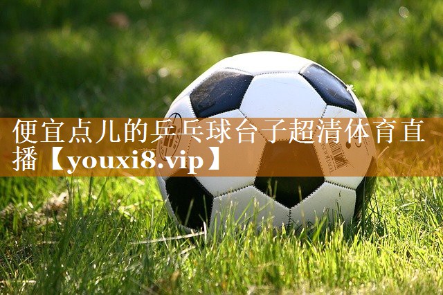 便宜点儿的乒乓球台子超清体育直播