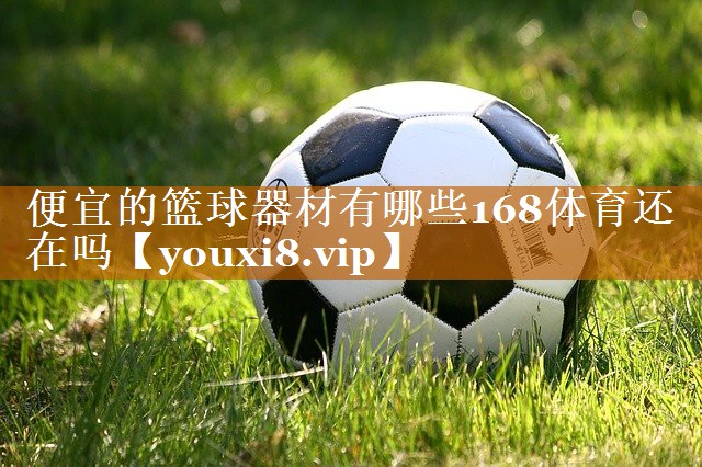 便宜的篮球器材有哪些168体育还在吗