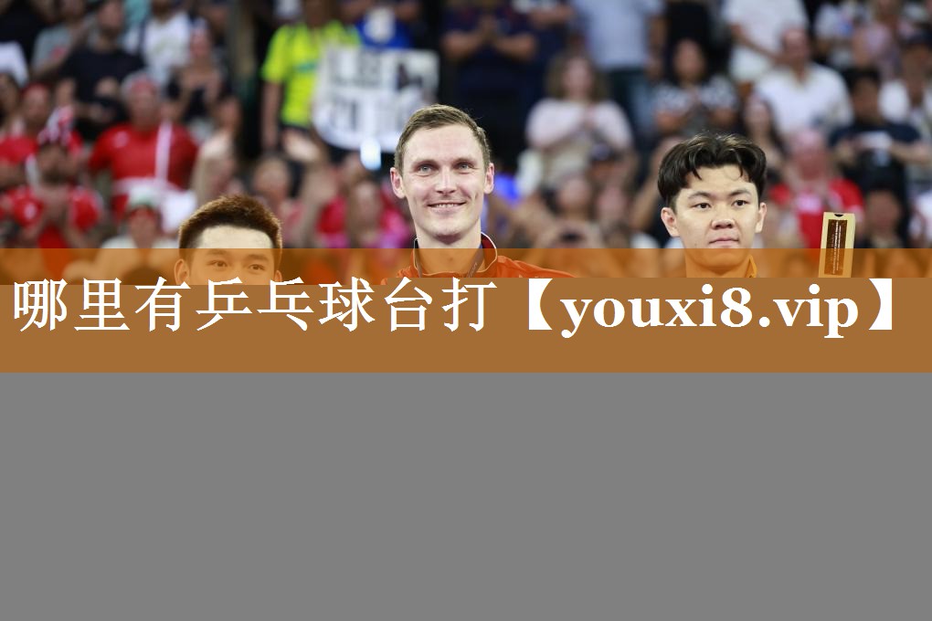 哪里有乒乓球台打 哪里有乒乓球台打