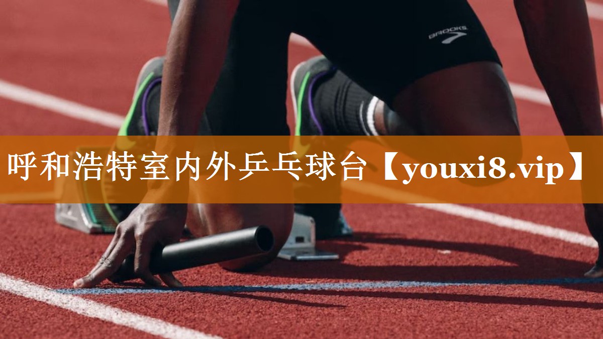 呼和浩特室内外乒乓球台 呼和浩特室内外乒乓球台