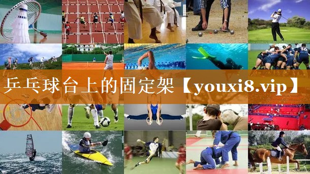 乒乓球台上的固定架 乒乓球台上的固定架