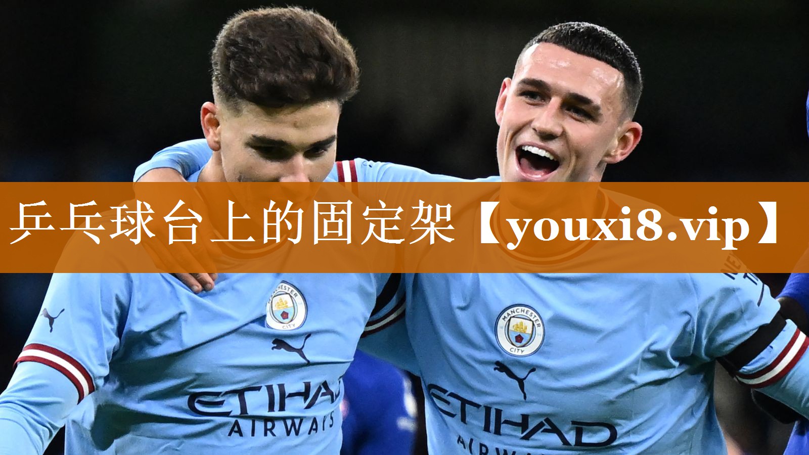 乒乓球台上的固定架 乒乓球台上的固定架