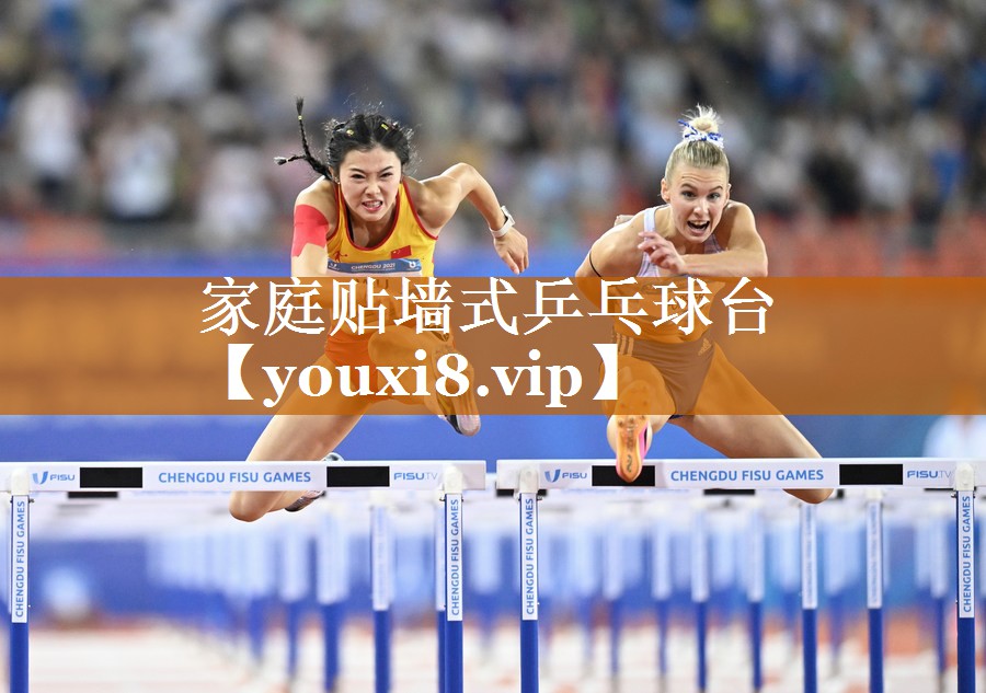 家庭贴墙式乒乓球台 家庭贴墙式乒乓球台