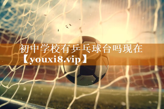 初中学校有乒乓球台吗现在